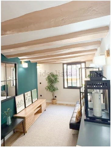 Captura10 (1) - copia