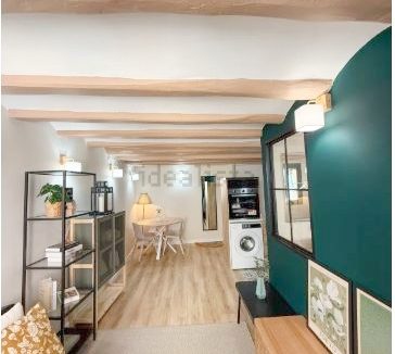 Captura12 (1) - copia