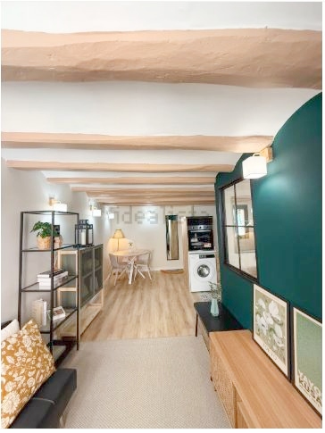 Captura12 (1) - copia