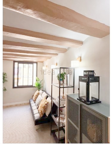 Captura15 (1) - copia