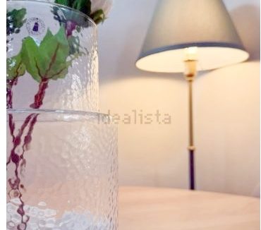 Captura17 (1) - copia