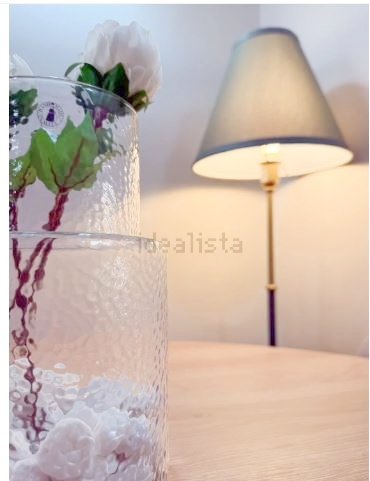 Captura17 (1) - copia